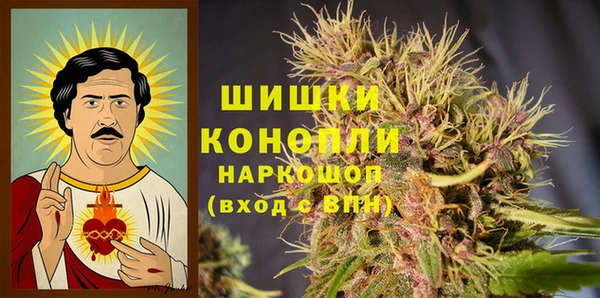 соль ск Новозыбков