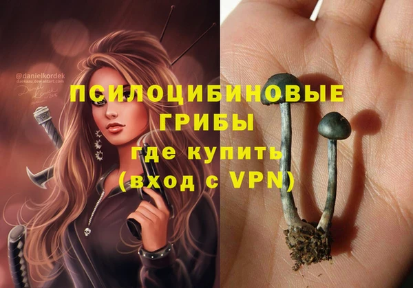 jwh Сосновый Бор