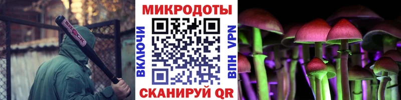 Галлюциногенные грибы мухоморы  Энем 